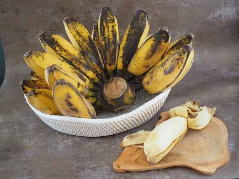 Gambar pisang kepok untuk kolak